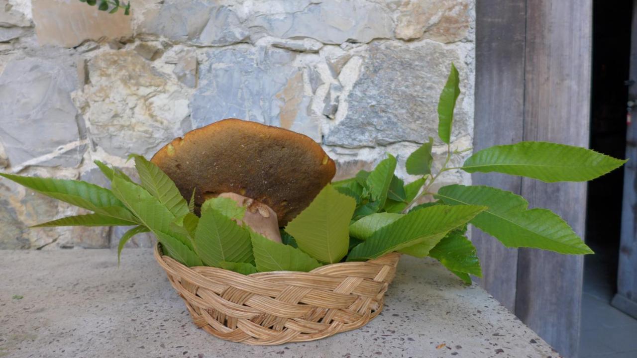 Appartamento Casa Marcone Deiva Marina Esterno foto
